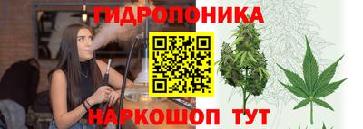 ГАЛЛЮЦИНОГЕННЫЕ ГРИБЫ Кунгур