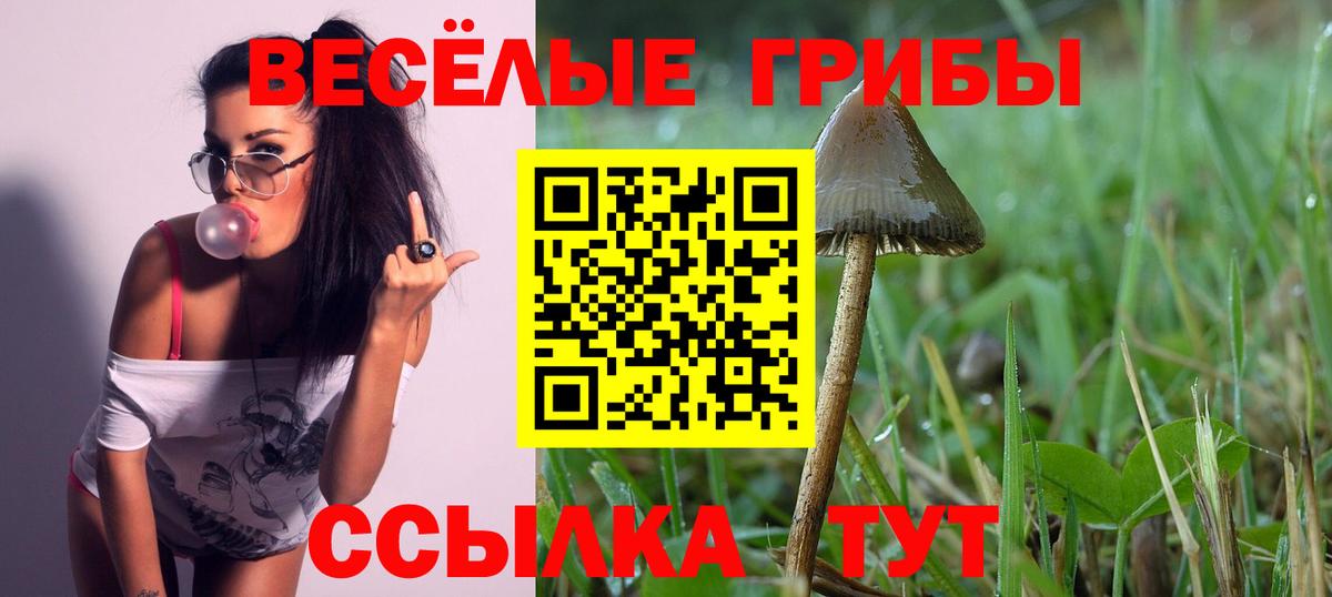 Галлюциногенные грибы Psilocybe  Вход с VPN  Электросталь 